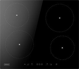 Induktionsfeld Reparatur Kamenz